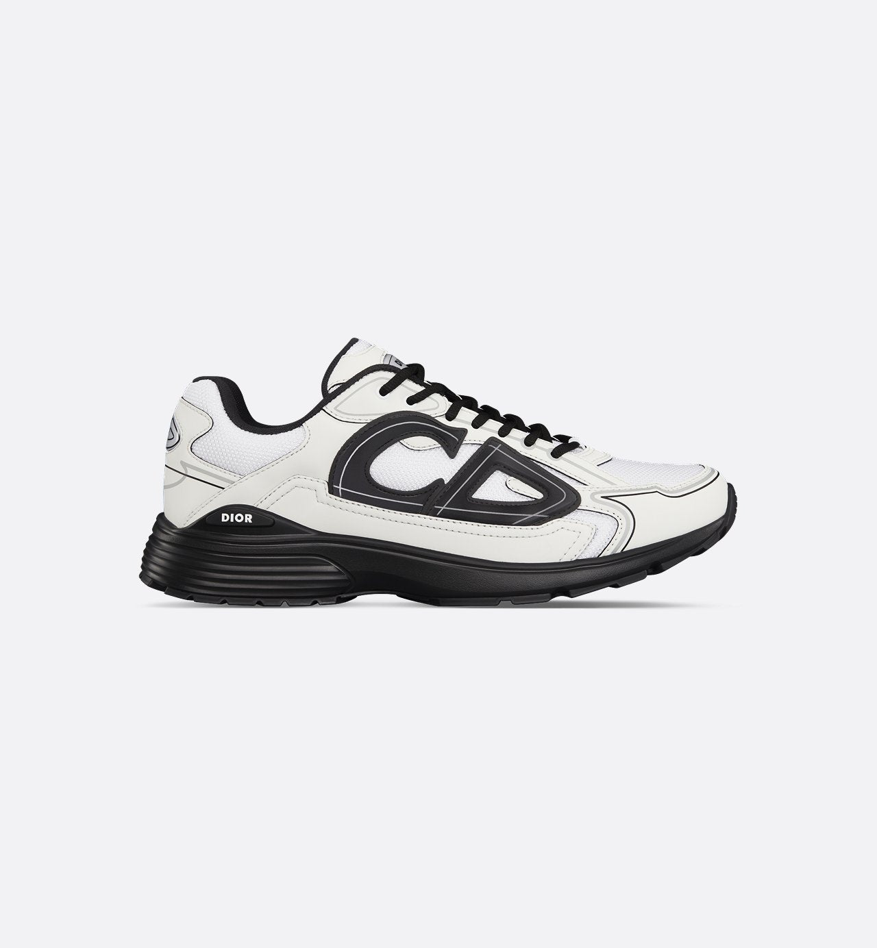 Dior b30