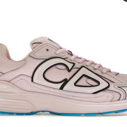 Dior b30 rose
