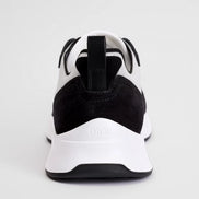 Dior B25