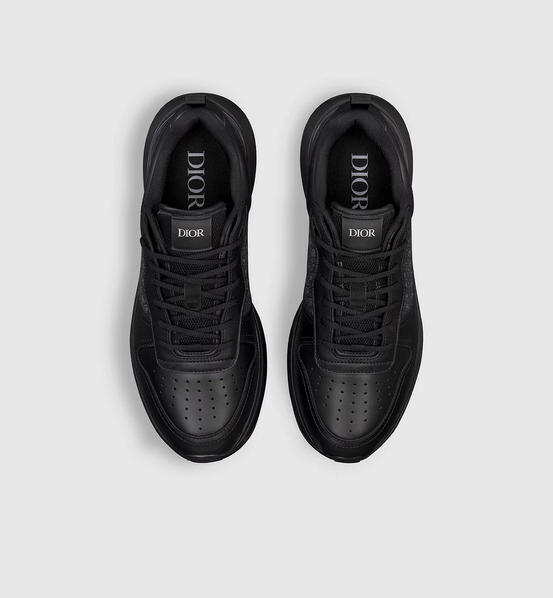 Dior B25