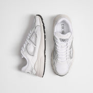 Dior b30